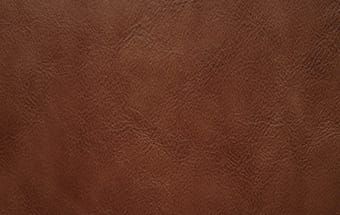 Leather sample